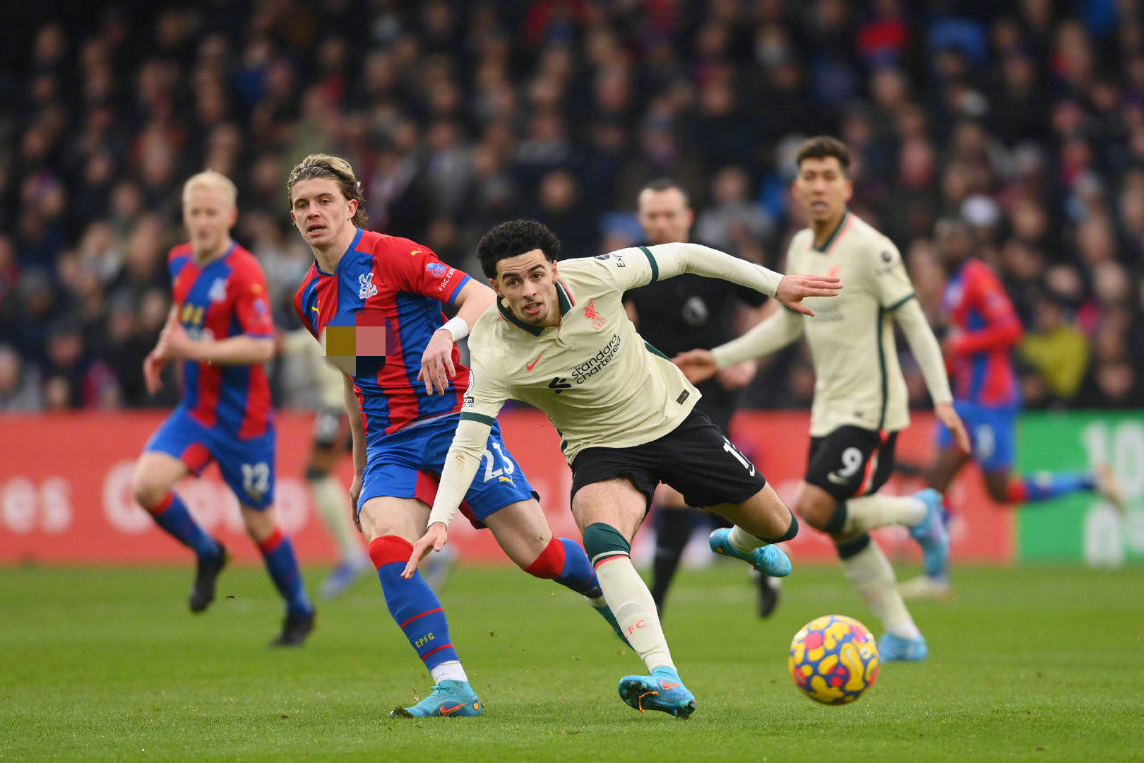 数据统计显 数据统计显